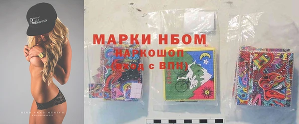 хмурый Алзамай