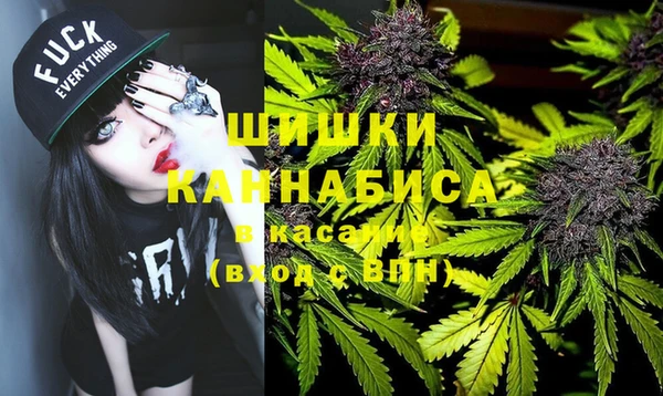 хмурый Алзамай