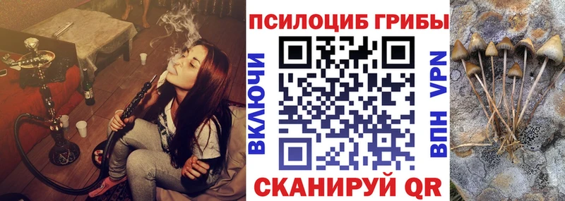 Галлюциногенные грибы прущие грибы Бабаево